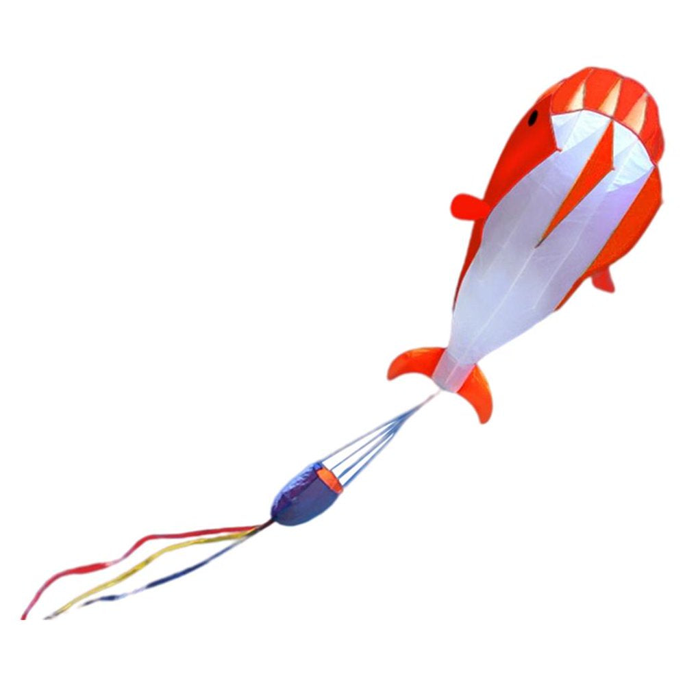 3D for Adults Kids Large Dolphin Beach Frameless Soft Parafoil, Gift for Kids, Family, Trip Camping Competition Black